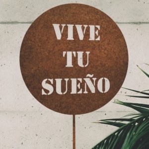 Vive Tu Sueño Tutor